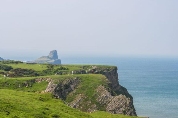 From Cardiff: Swansea, Mumbles and Gower Coast Full-Day Tour - Frequently Asked Questions