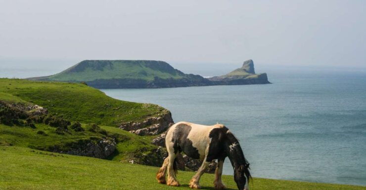 From Cardiff: Swansea, Mumbles and Gower Coast Full-Day Tour - Tour Experience
