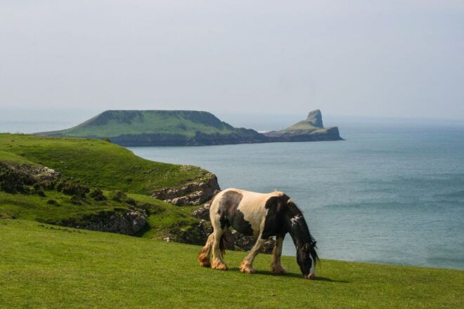 From Cardiff: Swansea, Mumbles and Gower Coast Full-Day Tour - Directions