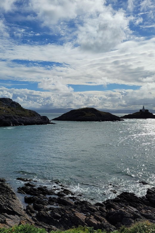 From Cardiff: The Wandering Bard's Swansea Bay Day Tour - Who Will Love This Tour?