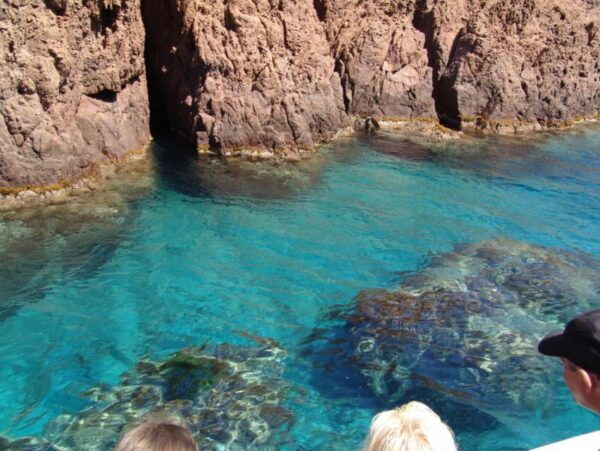 From Cargèse: Scandola Half-Day Tour by RIB Boat With Stops - The Sum Up