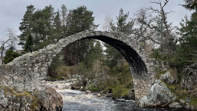 From Carrbridge: Cairngorms, Whisky, and Highland History - Exploring the Cairngorms National Park