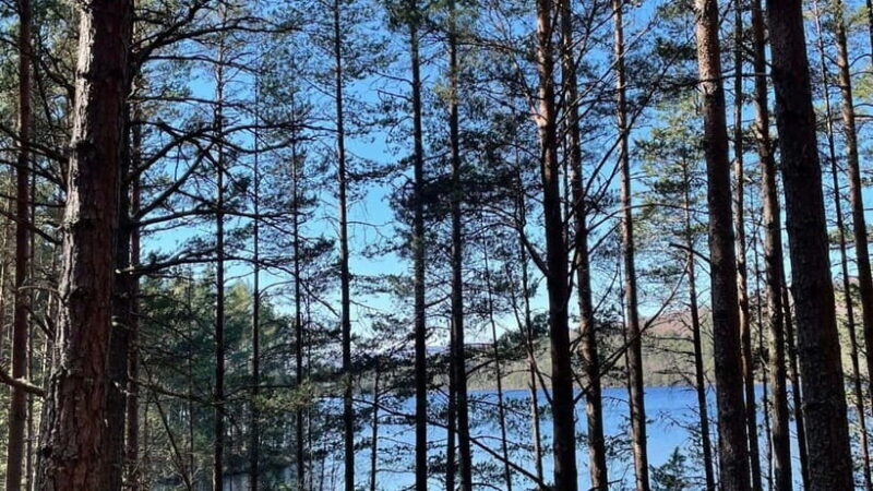 From Carrbridge: Cairngorms, Whisky, and Highland History - The Logistics: Transport, Timing, and Group Size