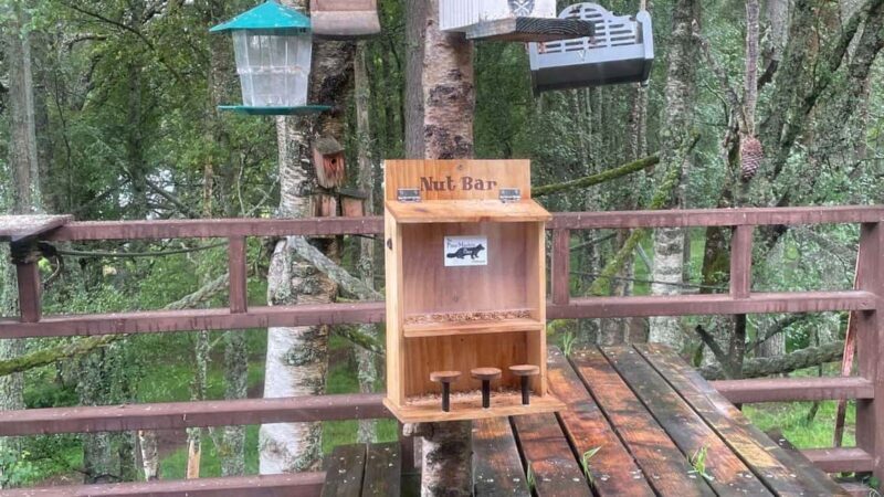 From Carrbridge: Cairngorms, Whisky, and Highland History - Final Thoughts: Is This Tour Right for You?