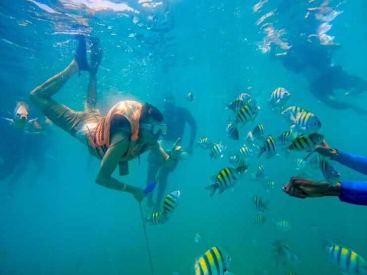 From Cartagena: Baru and Playa Blanca Full-Day Mangrove Tour - Tour Details