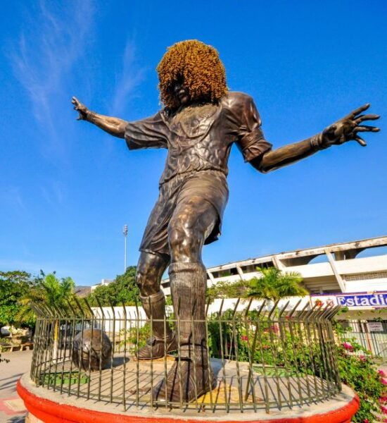 From Cartagena: City Tour Barranquilla Santa Marta - Additional Options