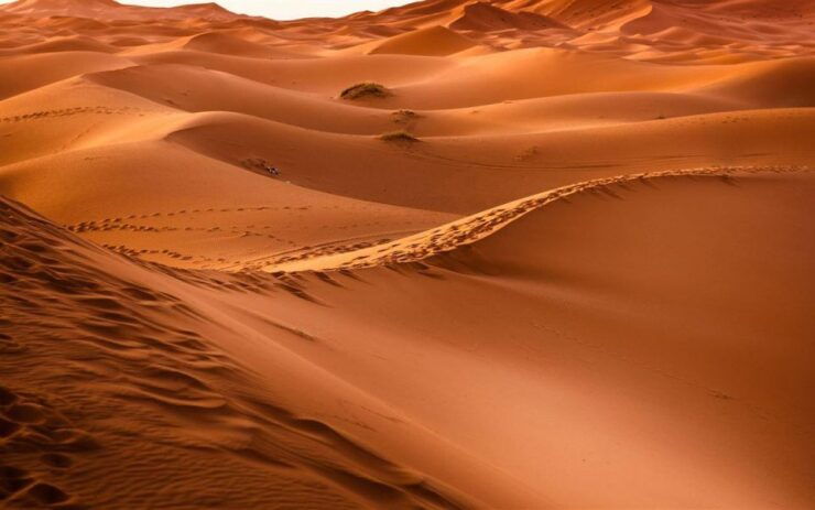 From Casablanca Airport: 9-Day Morocco Classic Tour - Experience Highlights