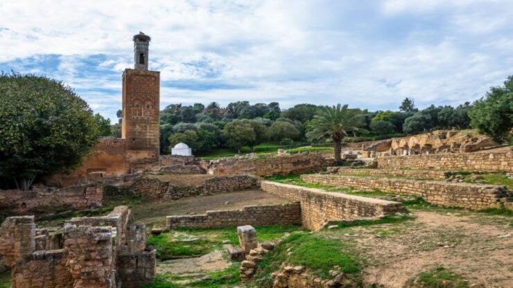 From Casablanca: Full-Day Casablanca & Rabat Guided Tour - Experience Highlights