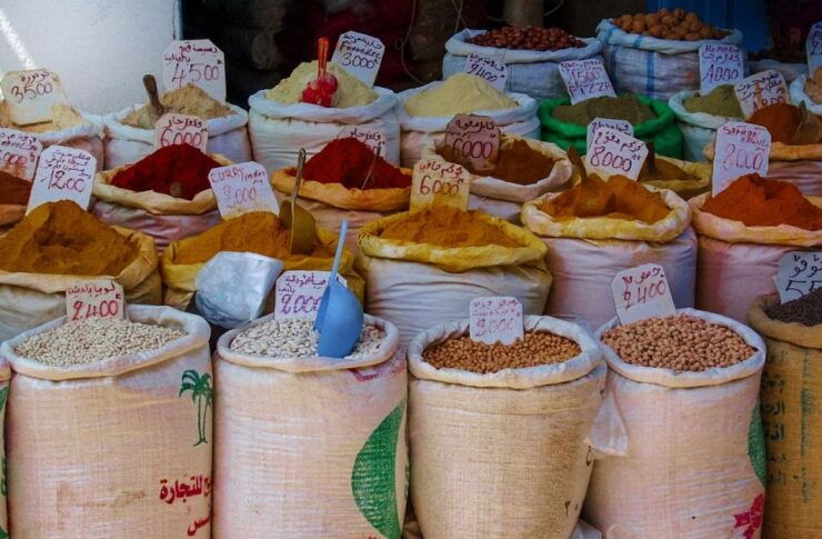 From Casablanca: Full-Day Guided Tour to Fes - Experience Highlights in Fes