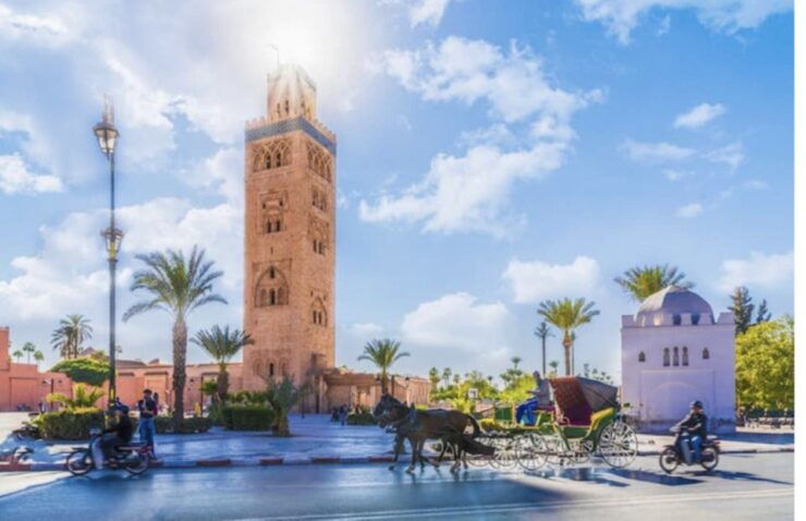 From Casablanca: Marrakech City Tour With Lunch & Camel Ride - Activity Details