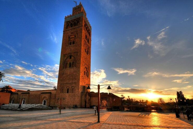 From Casablanca: Marrakech Guided Day Trip With Camel Ride - Review Summary