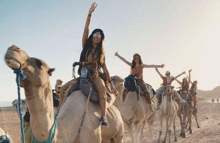 From Casablanca: Marrakech Guided Day Trip With Camel Ride - Tour Description