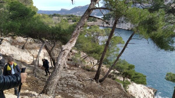 From Cassis: Calanques National Park Guided Hiking Day Trip - Common Questions