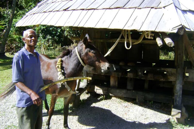 From Castries: Full-Day Catamaran Tour to Soufriere - Good To Know