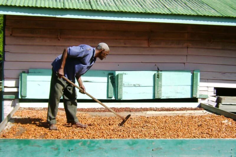 From Castries: Full-Day Catamaran Tour to Soufriere - Final Thoughts