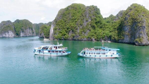 From Cat Ba: Amazing Sunset Boat Tour in Lan Ha Bay - Frequently Asked Questions