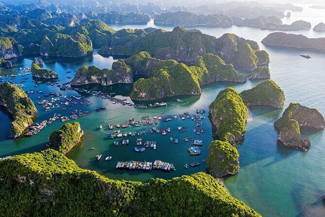 From Cat Ba Island Explore Lan Ha Bay with D'Charme Luxury Cruise - Dietary Needs and Special Requests