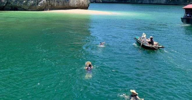 From Cat Ba Island: Full Day Boat Tour Lan Ha & Halong Bay - Transportation Details
