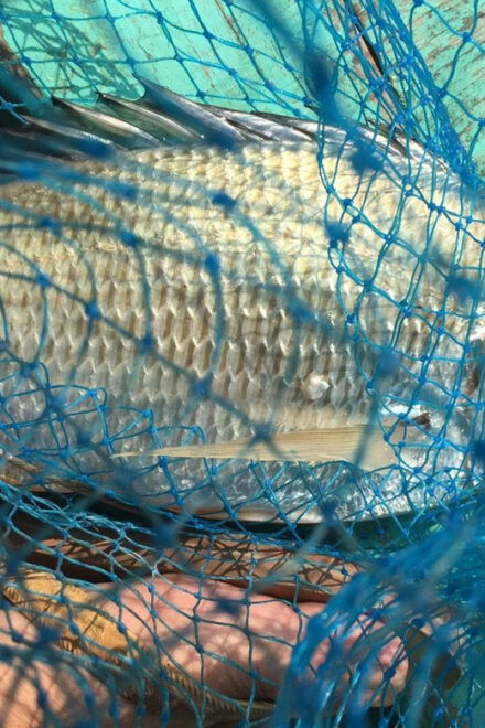 From Cat Ba Island: Private Full Day Fishing Tour Lan Ha Bay - Fishing Locations and Experiences