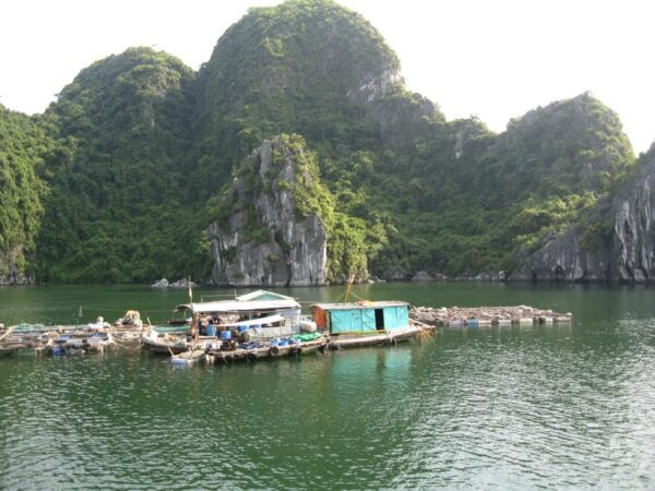 From Cat Ba Island: Private Full Day Fishing Tour Lan Ha Bay - Additional Activities Available