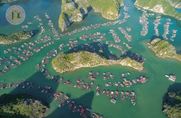 From Cat Ba Island: Private Full Day Fishing Tour Lan Ha Bay - Frequently Asked Questions