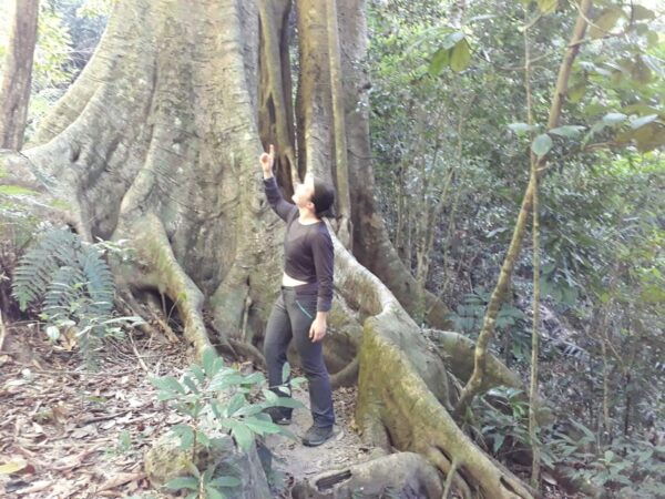 From Cat Ba Island:National Park Full Day Trekking& Kayaking - Frequently Asked Questions