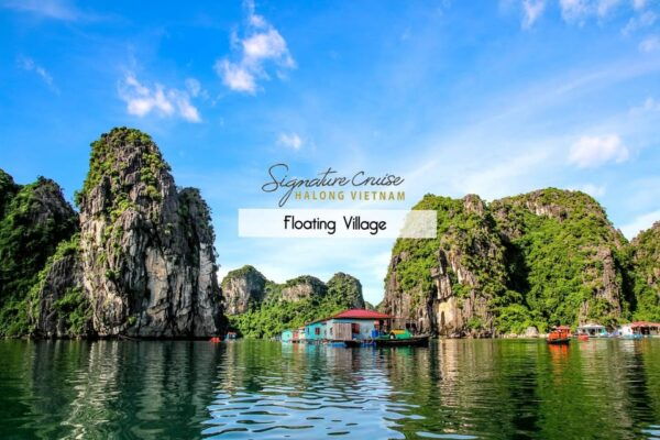From Cat Ba Islands: Explore Floating Village, Beach, Kayak - Tour Guide and Language Options