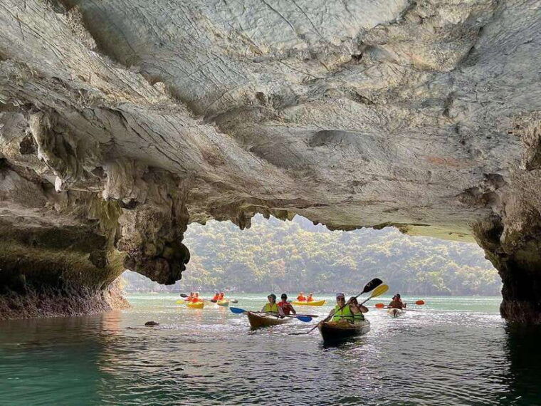 From Cat Ba: Lan Ha and Monkey Island Full Day Boat Trip - Customer Reviews and Ratings