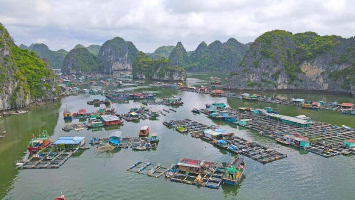 From Cat Ba: Lan Ha and Monkey Island Full Day Boat Trip - Exploring Cai Beo Fishing Village