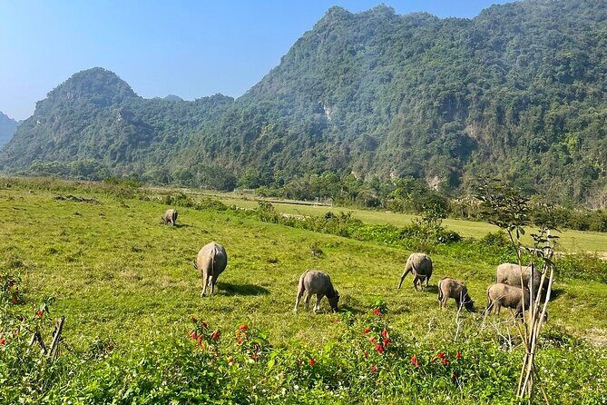 From Cat Ba: Lan Ha Bay Best Day Trip with Kayaking, Biking,Lunch - The Sum Up: Is This Tour Worth It?