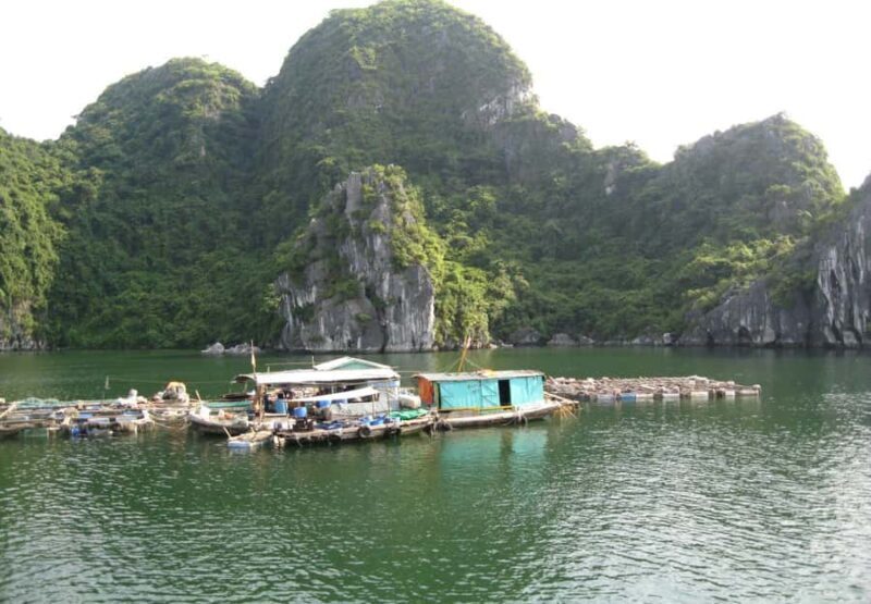 From Cat Ba: Lan Ha Bay-Halong Bay, Kayak, Snorkel, Swimming - An In-Depth Look at the Tour Experience