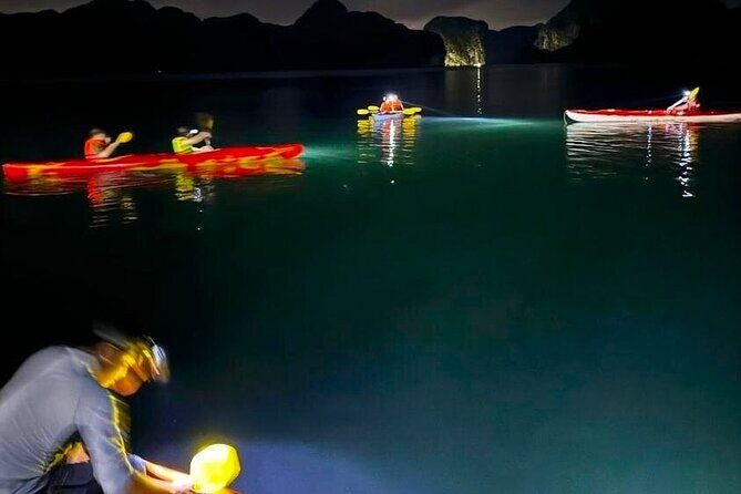 From Cat Ba: Sunset & Bioluminescent Plankton Night Kayak Tour - From Cat Ba: Sunset & Bioluminescent Plankton Night Kayak Tour — A Complete Review