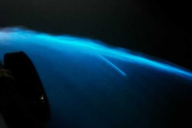 From Cat Ba: Sunset & Bioluminescent Plankton Night Kayak Tour - The Itinerary: What’s in Store?