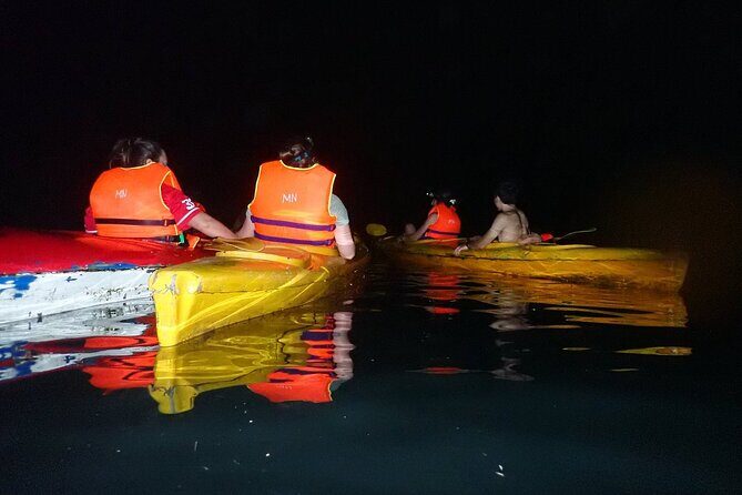 From Cat Ba: Sunset & Bioluminescent Plankton Night Kayak Tour - Authentic Insights from Reviews