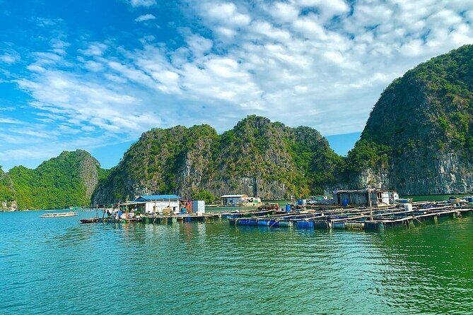 From Cat Ba: Sunset & Bioluminescent Plankton Night Kayak Tour - Who Should Consider This Tour?