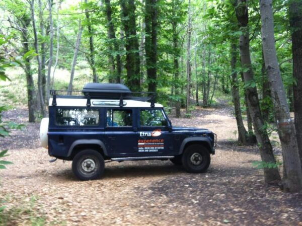 From Catania: 4x4 Mt Etna Jeep Tour - What to Expect