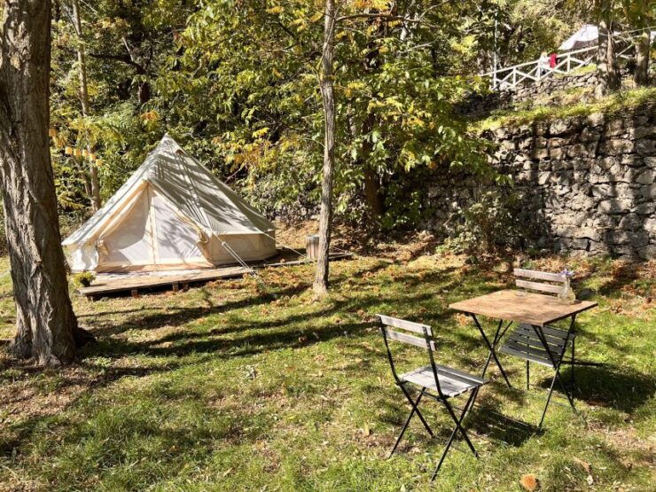 From Catania: Mt.Etna Picnic and Wine Tasting - Booking Information