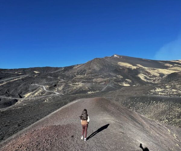 From Catania: Mt.Etna Picnic and Wine Tasting - The Sum Up