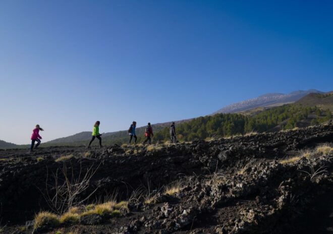 From Catania: Private Mount Etna Trek - Highlights