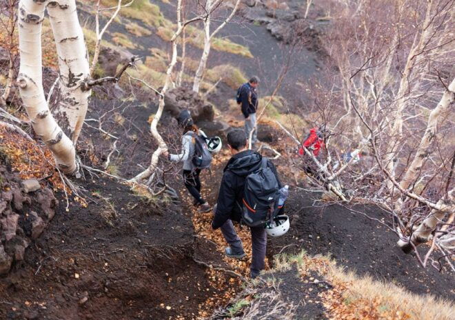 From Catania: Private Mount Etna Trek - Inclusions