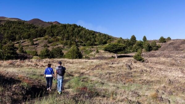 From Catania: Private Mount Etna Trek - Additional Option