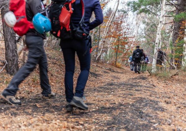 From Catania: Private Mount Etna Trek - The Sum Up