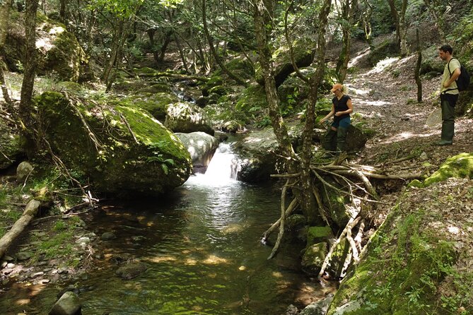From Catania, Syracuse and Taormina: Fly Fishing Experience - Location Details