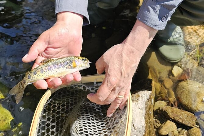 From Catania, Syracuse and Taormina: Fly Fishing Experience - Inclusions Provided