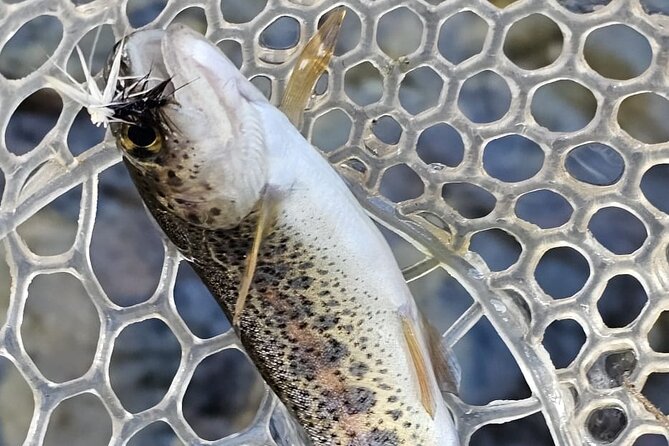 From Catania, Syracuse and Taormina: Fly Fishing Experience - Cancellation Policy