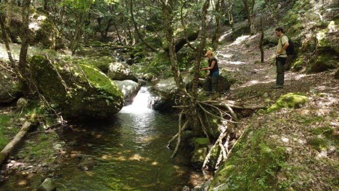 From Catania, Syracuse and Taormina: Fly Fishing Experience - Restrictions and Recommendations
