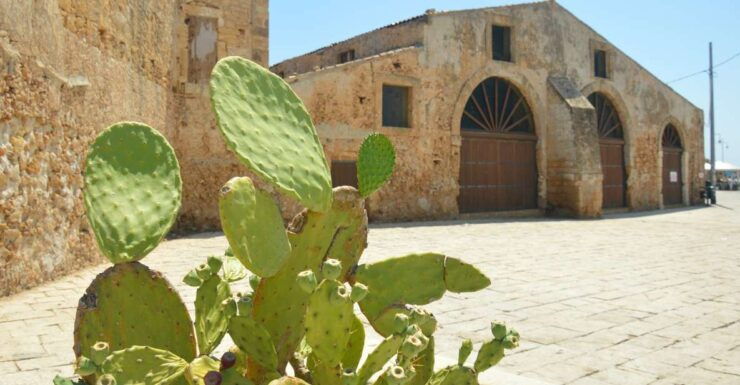 From Catania: Syracuse, Ortigia & Marzamemi Full-day Tour - Tour Details
