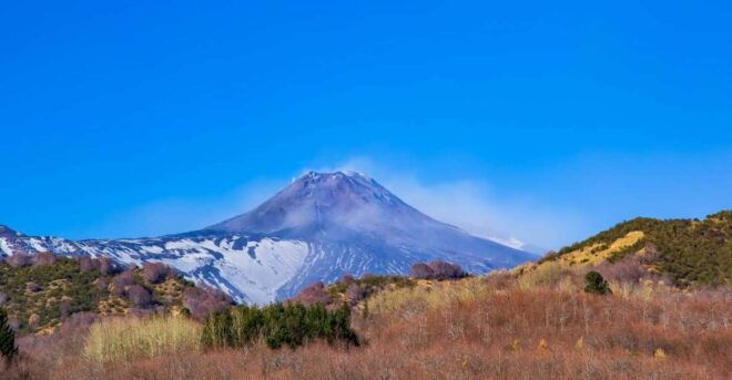 From Catania/Taormina: Mount Etna Private Wine Tasting Tour - Inclusions