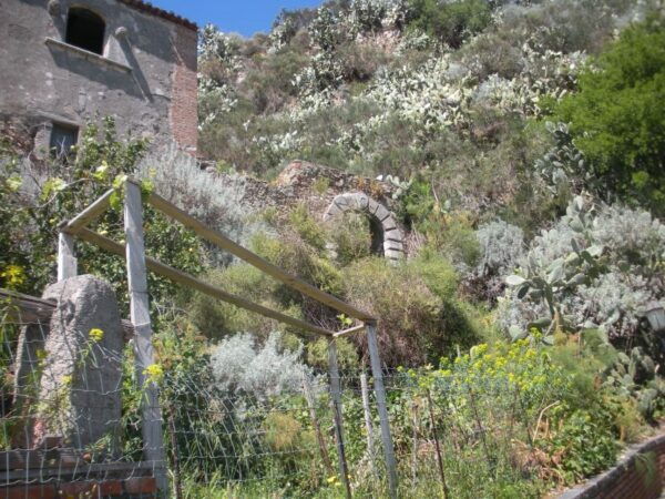 From Catania: The Godfather Movie Day Trip in Sicily - Common Questions