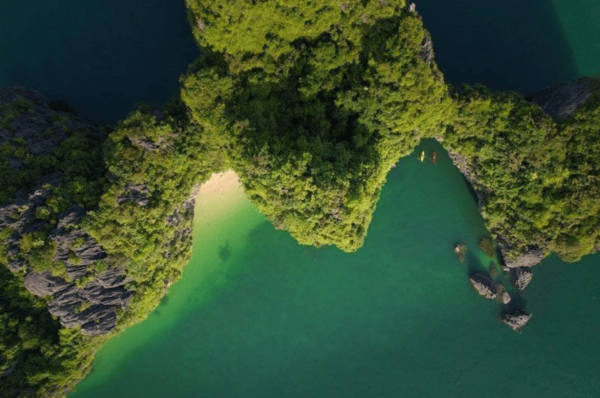 FROM CATBA: LAN HA BAY ON SERENITY PREMIUM CRUISE - Tips for Travelers